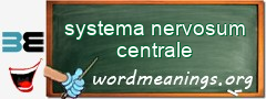 WordMeaning blackboard for systema nervosum centrale